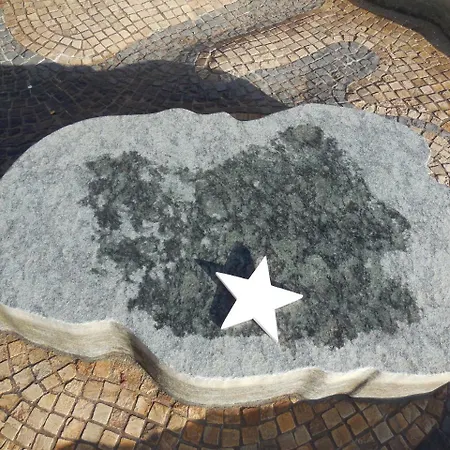 Muschelstern - #109585 نيبلوم